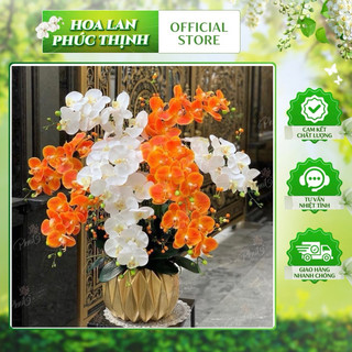 bộ nguyên liệu chậu hoa lan ướt 9b-chậu 9 cành kèm tiểu cảnh và chậu composite- không cắm sẵn
