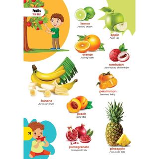 Sách - Bách Khoa Hình Ảnh Đầu Tiên Cho Bé - Đại Mai Books