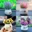 Bộ sưu tập bình hoa giả mini trang trí nhà cửa, bàn làm việc, taplo xe, làm quà tặng