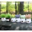 Bộ sưu tập bình hoa giả mini trang trí nhà cửa, bàn làm việc, taplo xe, làm quà tặng