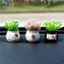 Bộ sưu tập bình hoa giả mini trang trí nhà cửa, bàn làm việc, taplo xe, làm quà tặng