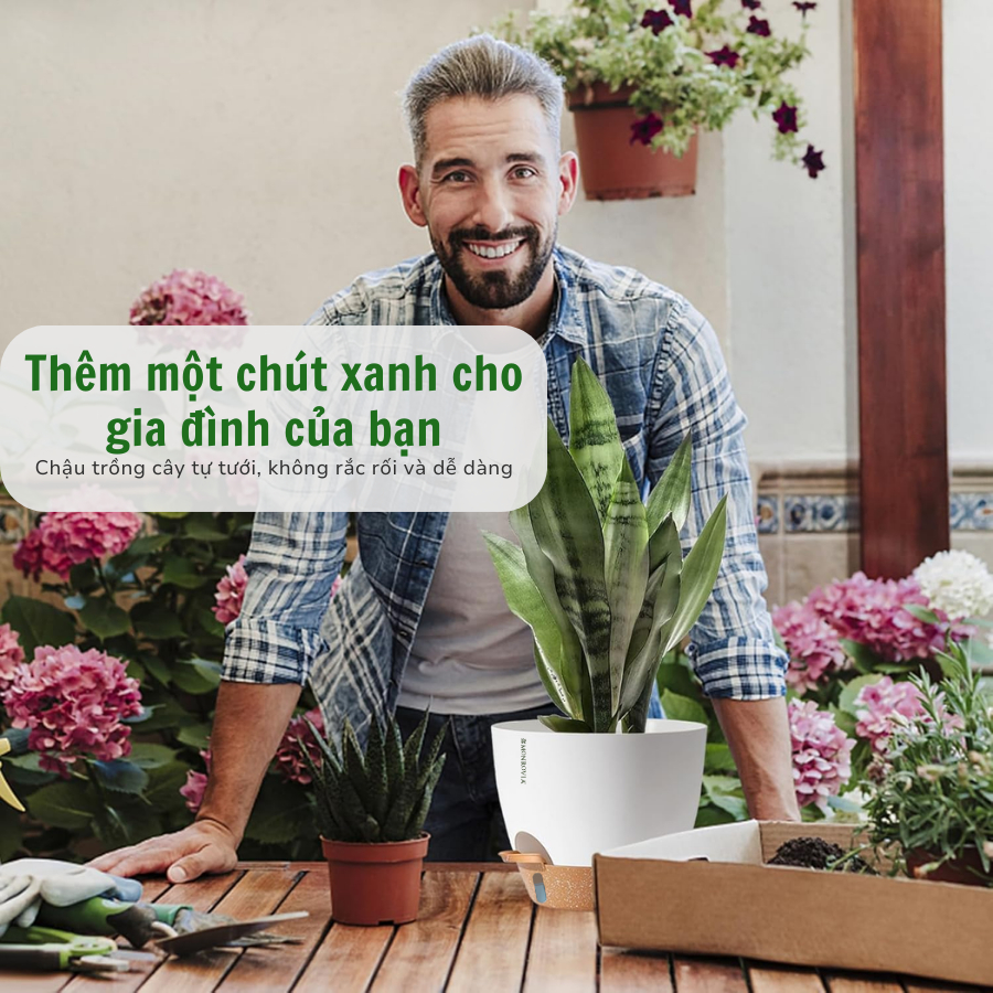 Đánh Giá Chậu Tự Tưới Thông Minh Monrovia A60: Tiện Lợi, Decor Đẹp