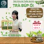 Trà búp Ổi non - Diệp Chi - Giảm Cân, giảm tiểu đường, mỡ máu - Mua 3 tặng 1