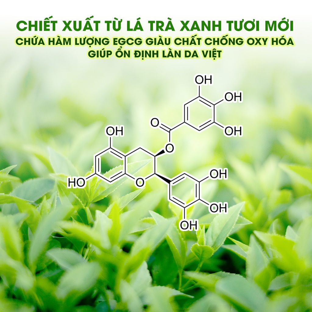 Ảnh Combo 9 Mặt Nạ Trà Xanh Mix Tràm Trà SEXYLOOK Giảm Mụn Dầu và Dưỡng Ẩm Da (9 miếng x 25ml) 4