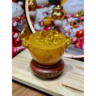 [Giá rẻ tại kho] Bát Tụ Bảo Phong Thuỷ - Tụ Bảo Bồn - Chậu Vàng Chiêu Tài Lộc Đế Liền