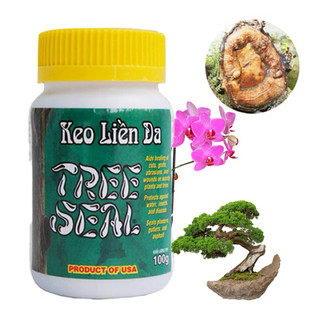 Keo đen liền sẹo đen Tree Seal Mỹ nhanh khô dùng cho cây bonsai, Mai vàng, Cây thân gỗ - Hũ 100g