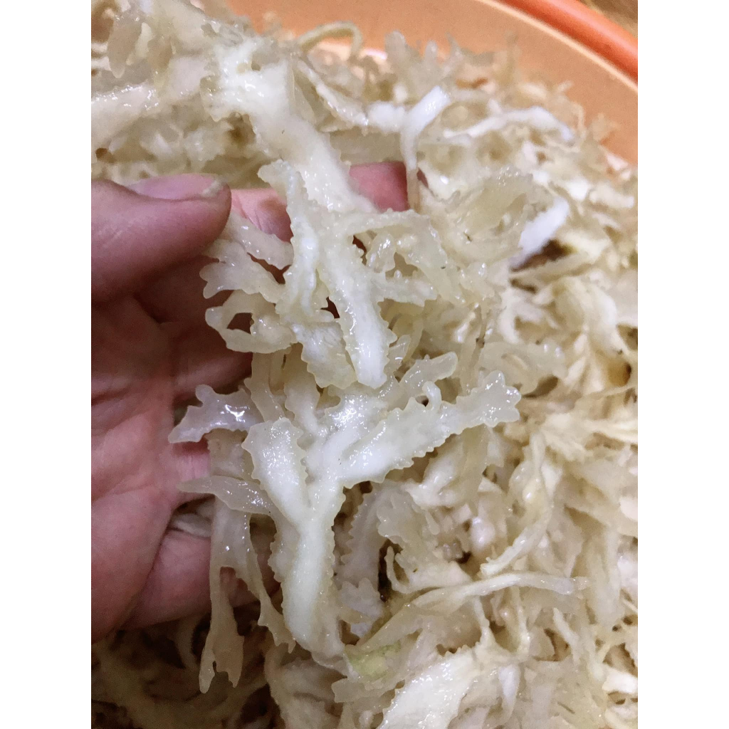 Rau Câu Chân Vịt Khô Lý Sơn Bịch 100gr Rong Biển Thu Hoạch Tự Nhiên ...