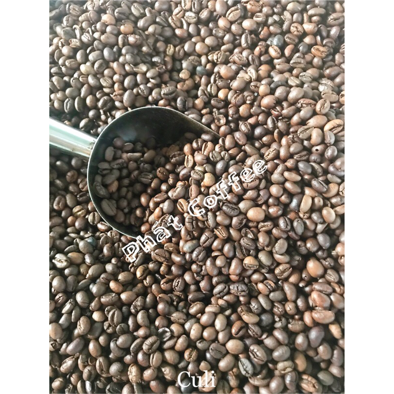 1kg CÀ PHÊ giá Sỉ HẠT S18 ROBUSTA RANG MỘC NGUYÊN CHẤT 100% CAFÉ DAKLAK