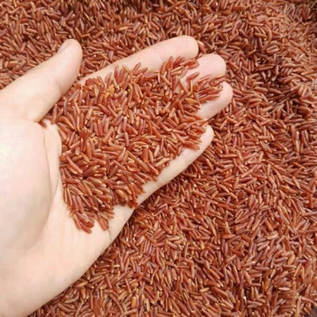 5KG Gạo Lứt Huyết Rồng Loại 1- Gạo lức trong thực dưỡng