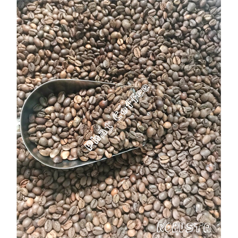 1kg CÀ PHÊ giá Sỉ HẠT S18 ROBUSTA RANG MỘC NGUYÊN CHẤT 100% CAFÉ DAKLAK