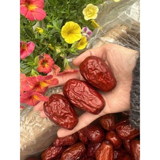 Táo đỏ Hòa Điền,táo trái to,thịt nhiều,ngọt tự nhiên,quả nhỏ nhiều thịt và ngọt,thích hợp ăn trực tiếp,hoặc nấu chè.