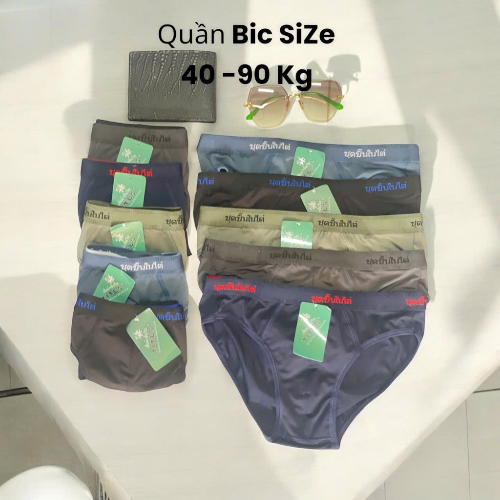 QUẦN LÓT NAM COMBO 5 QUẦN THÁI CHẤT THUN LẠNH CO GIẢN MỀM MẠI MẶT MÁT