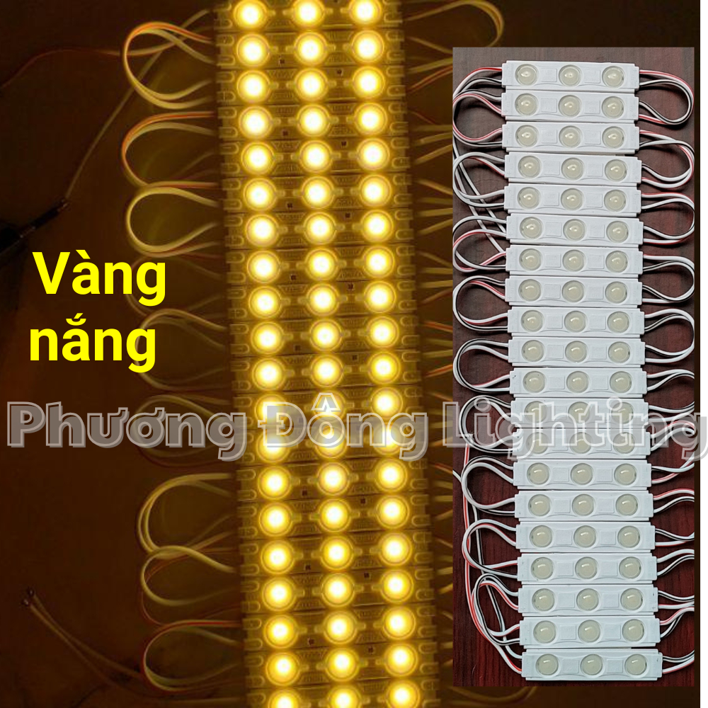 LED hắt 3 mắt 6011 Chip LED 2835 Kín Nước Trang Trí Ngoài Trời 1 vỉ 20 thanh