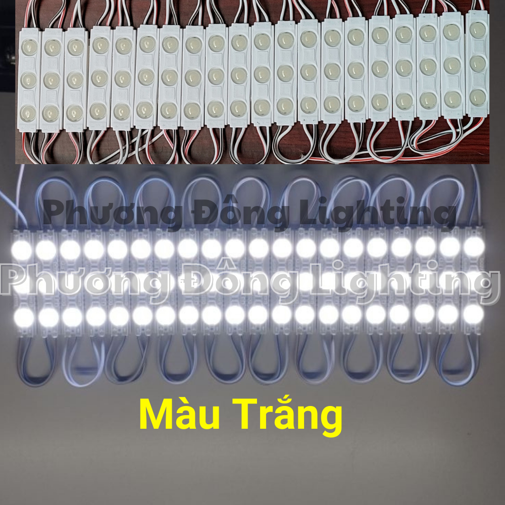 LED hắt 3 mắt 6011 Chip LED 2835 Kín Nước Trang Trí Ngoài Trời 1 vỉ 20 thanh