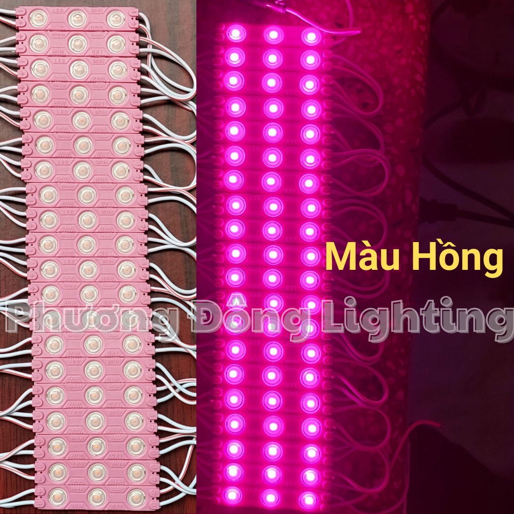 LED hắt 3 mắt 6011 Chip LED 2835 Kín Nước Trang Trí Ngoài Trời 1 vỉ 20 thanh