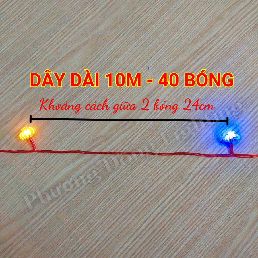 Dây lồng đèn LED mini 10m - 40 bóng Đa sắc Trang trí siêu đẹp