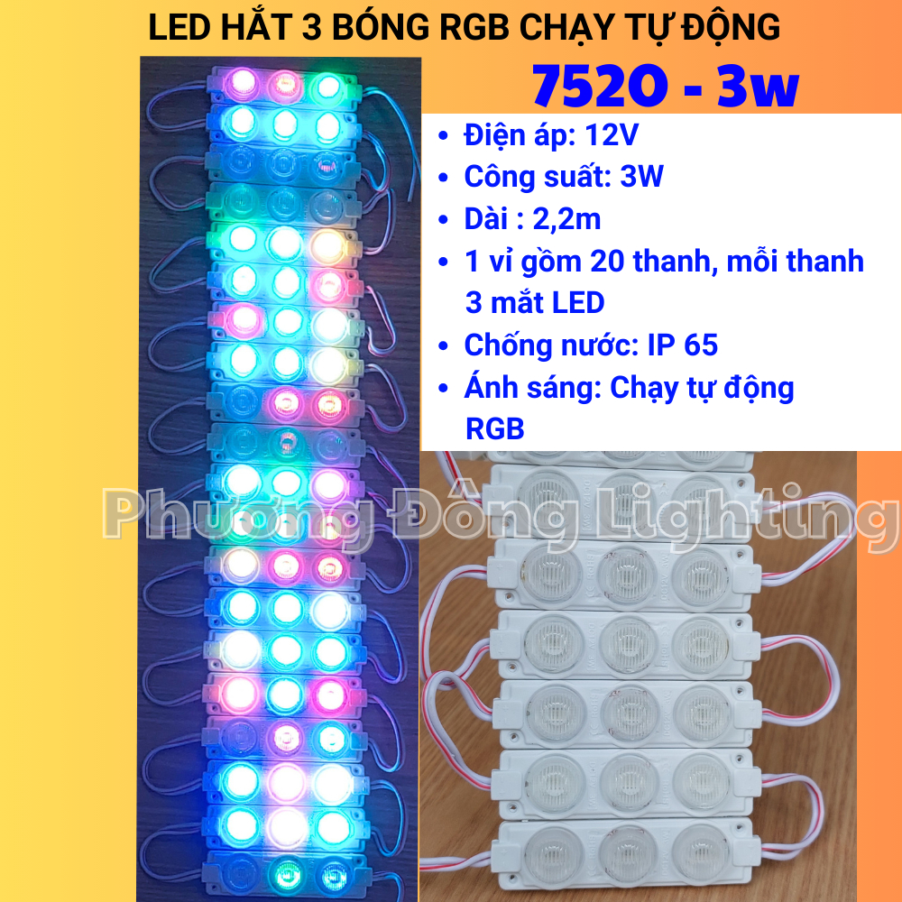 LED Hắt tự chạy RGB 12v 6113 - 6313 - 7520 Chạy Đuổi Tự Động Chống nước, Vỉ 20 thanh Dài 2,2m
