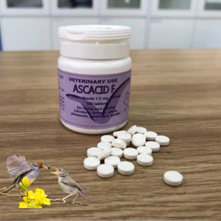 Viên tẩy giun sán Ascasid F dạng viên Vb Pharma cho chó mèo, gà đá, gà cảnh, chim cảnh, gia cầm