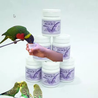 Viên tẩy giun sán Ascasid F dạng viên Vb Pharma cho chó mèo, gà đá, gà cảnh, chim cảnh, gia cầm