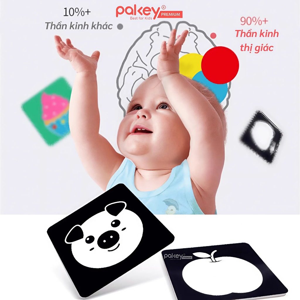 Ảnh Bộ 20 Thẻ Kích Thích Thị Giác Pakey Cao Cấp Giúp Phát Triển Khả Năng Quan Sát Trực Quan Cho Bé 2