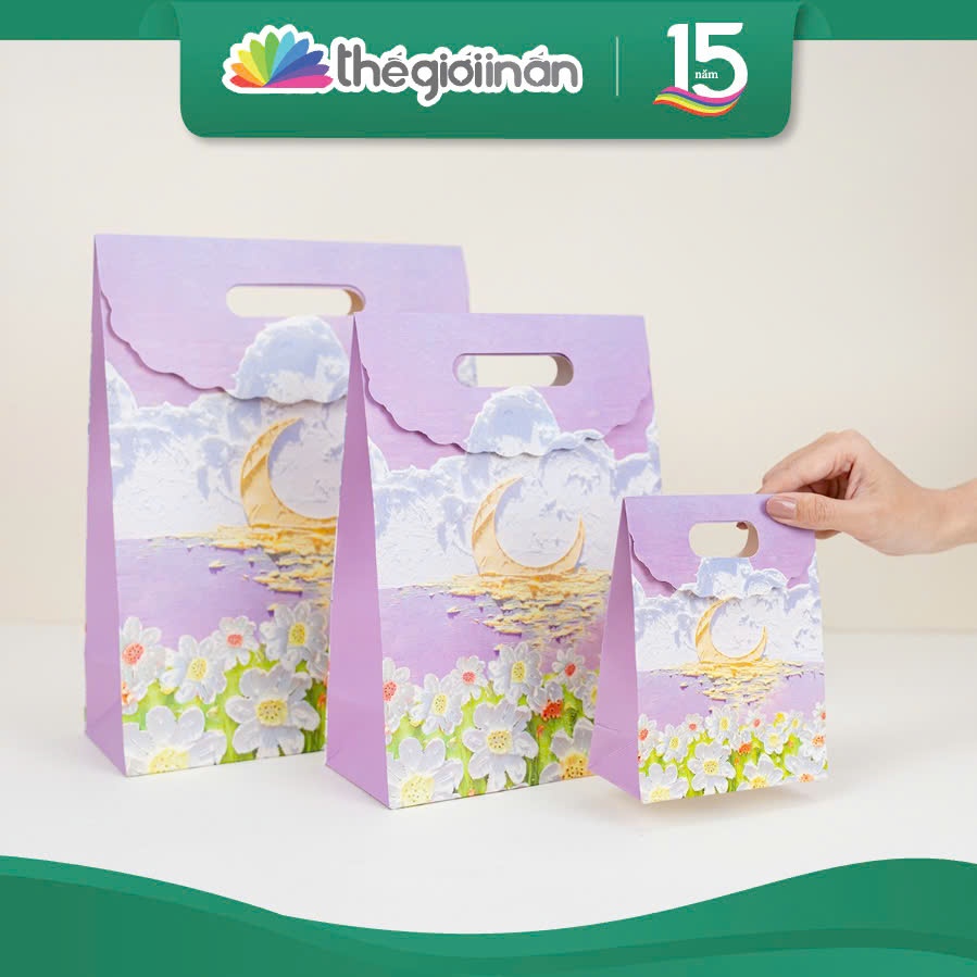 Set 5 Túi Giấy Đựng Quà Tặng Nắp Gập Hoạ Tiết 3D Dễ Thương