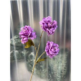 combo 3 cành cát tường 3b  cành 70cm- hoa giả trang trí