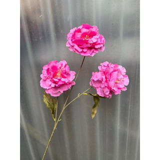 combo 3 cành cát tường 3b  cành 70cm- hoa giả trang trí