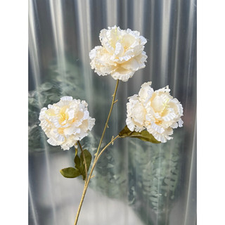 combo 3 cành cát tường 3b  cành 70cm- hoa giả trang trí