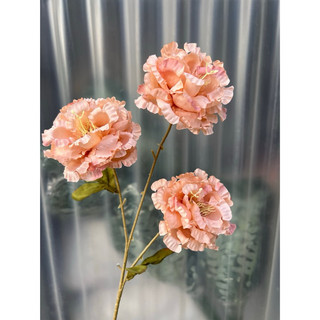 combo 3 cành cát tường 3b  cành 70cm- hoa giả trang trí