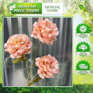combo 3 cành cát tường 3b  cành 70cm- hoa giả trang trí