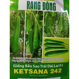 HẠT GIỐNG BẦU SAO TRÁI DÀI RD