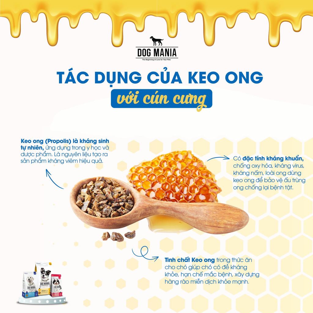 5KG DOG MANIA PREMIUM - Thức ăn hạt khô cho chó mọi lứa tuổi