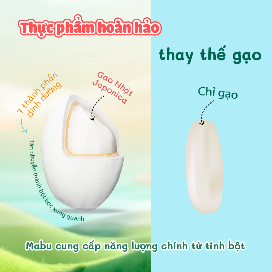 Ảnh Combo Cháo Hạt Vỡ Công Thức Mabu và Dầu Óc Chó Anpaso – Bổ Sung Dinh Dưỡng Tăng Trí Não  cho bé từ 8 tháng tuổi 3