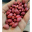 Lạc đỏ quê - 10kg
