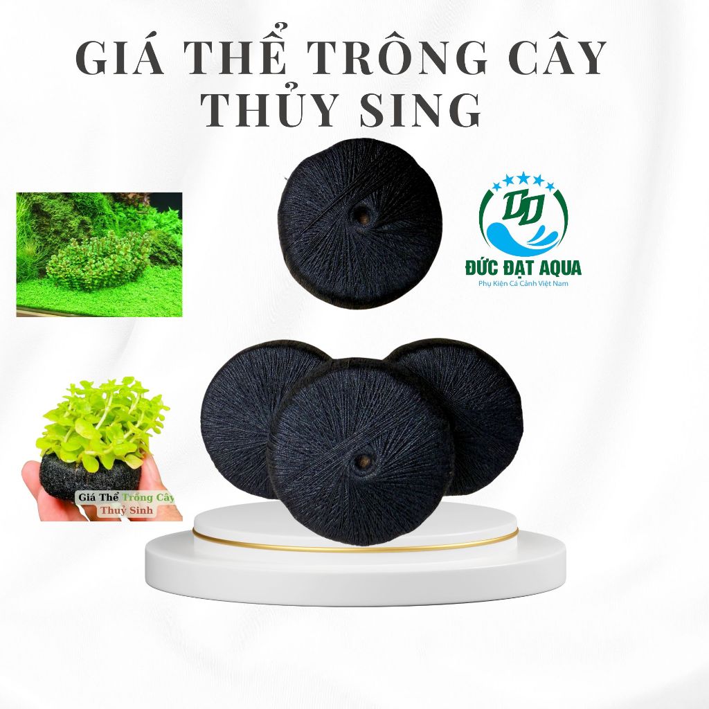 Giá thể trồng cây thuỷ sinh loại to 5cm hàng nhập trung nhiều dưỡng chất không làm đục nước 2