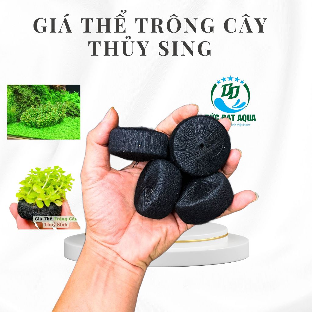 Giá thể trồng cây thuỷ sinh loại to 5cm hàng nhập trung nhiều dưỡng chất không làm đục nước