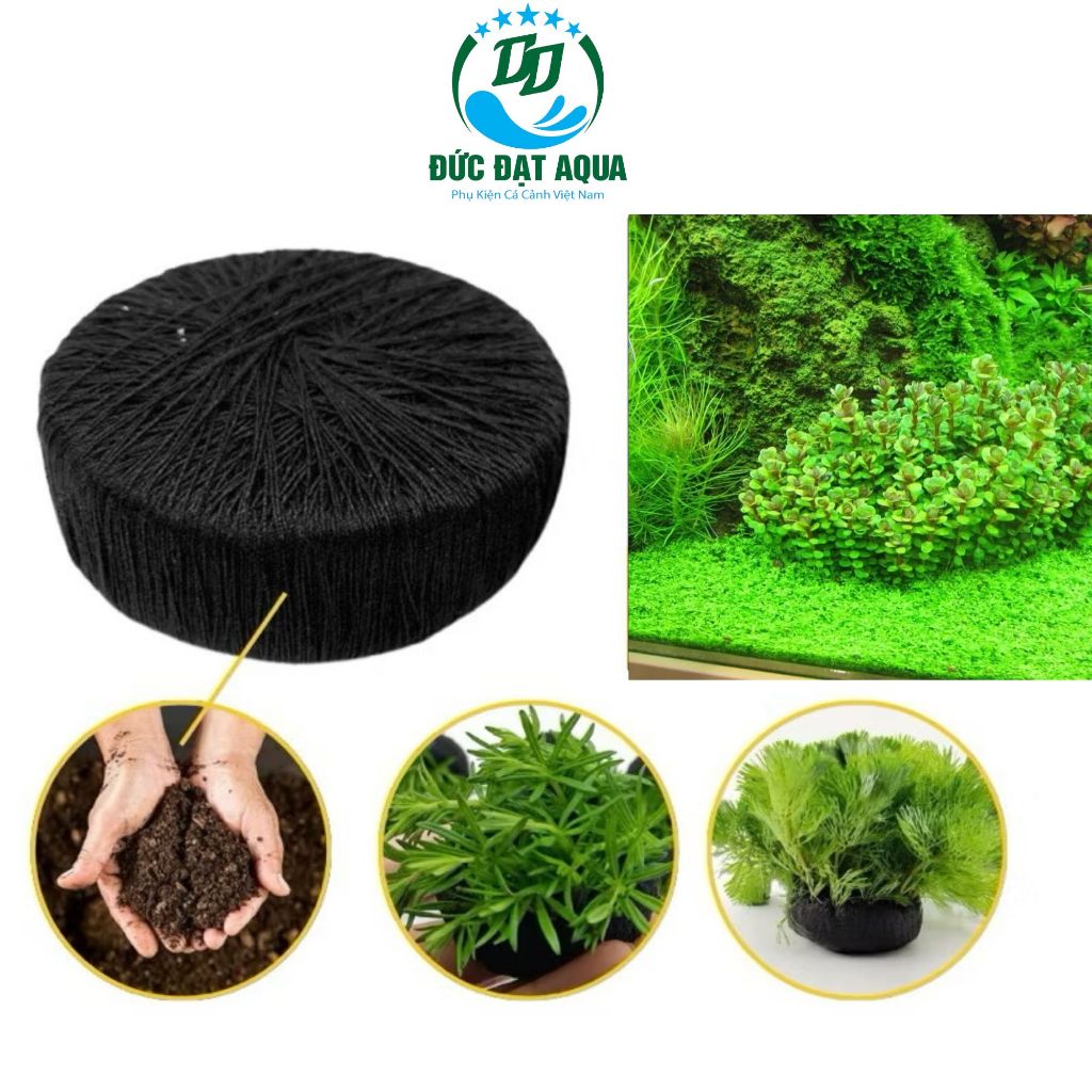 Giá thể trồng cây thuỷ sinh loại to 5cm hàng nhập trung nhiều dưỡng chất không làm đục nước 8