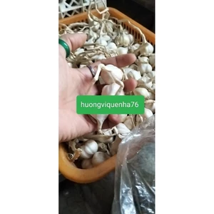 Tỏi Lý Sơn Nhiều Tép Đặc Sản Quảng Ngãi, Giá Vị Cho Nhiều Món Ăn
