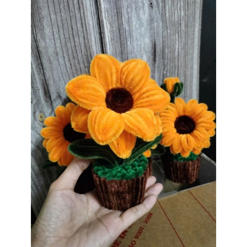 Chậu Hoa Hướng Dương Kẽm Nhung Xinh Xắn