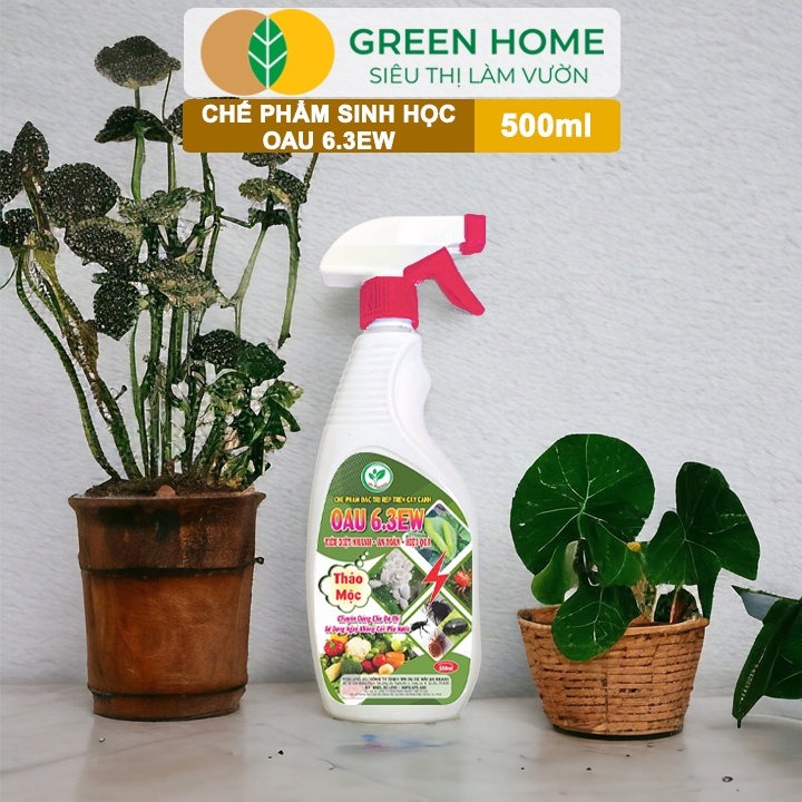 Ảnh Chế Phẩm Sinh Học OAU 6.3EW GreenHome, Chai 500Ml, Thảo Mộc, Đặc Trị Rệp, Rầy, Bọ Trĩ Cho Cây Và Hoa 4