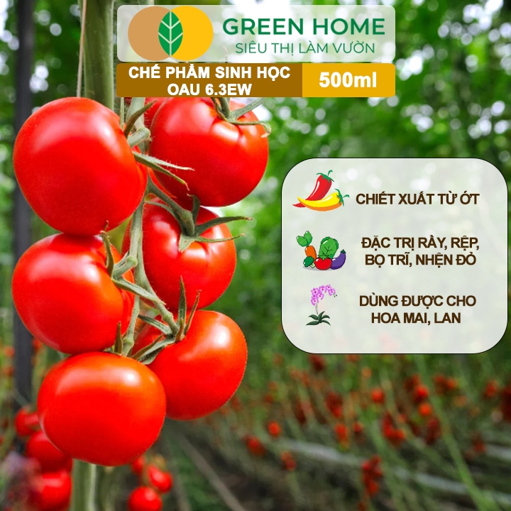 Review Chế Phẩm Sinh Học OAU 6.3EW GreenHome: Đặc Trị Rệp, Rầy, Bọ Trĩ An Toàn Cho Cây & Hoa