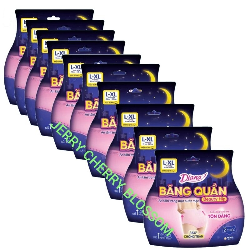 combo 10 gói băng vệ sinh dạng quần Diana Beauty hip size xl2 miếng