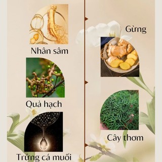 Kem Nhuộm Tóc Phủ Bạc Plant Extract 500ml - Thuốc Nhuộm Tóc Thảo Dược Đen Nâu Tự Nhiên Tại Nhà