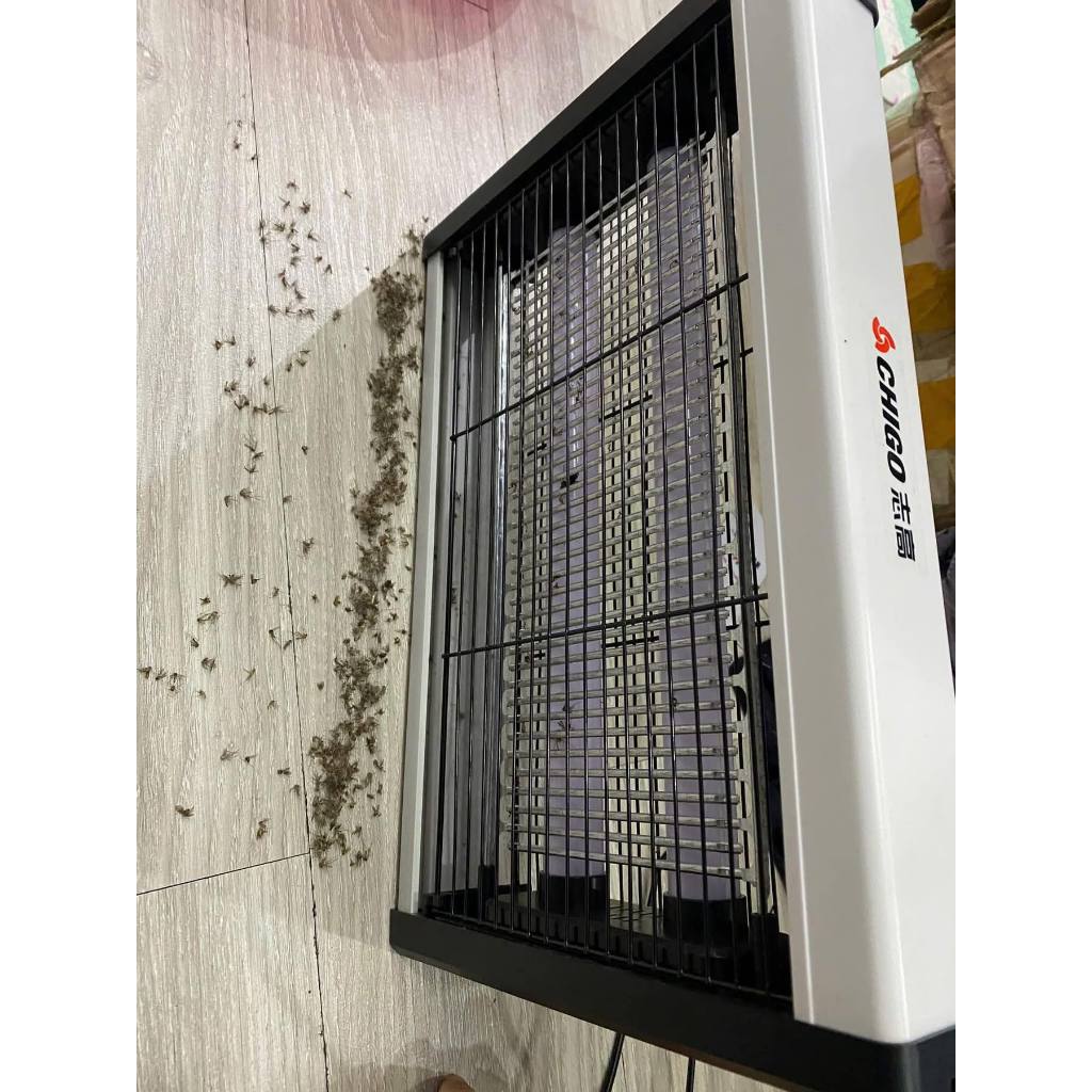 [ Chất lượng cao ] Đèn bắt muỗi điện cỡ lớn hãng CHIGO ZG-W23