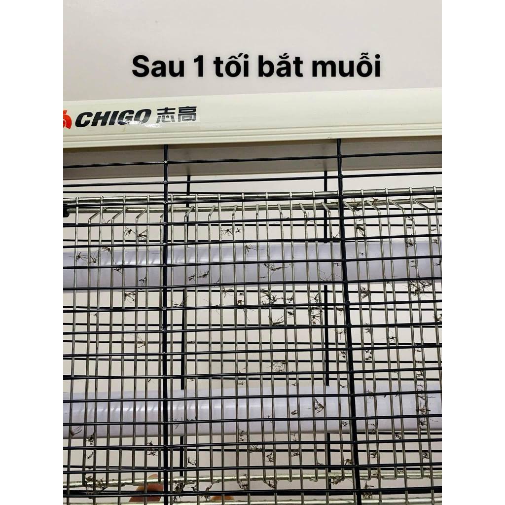 [ Chất lượng cao ] Đèn bắt muỗi điện cỡ lớn hãng CHIGO ZG-W23