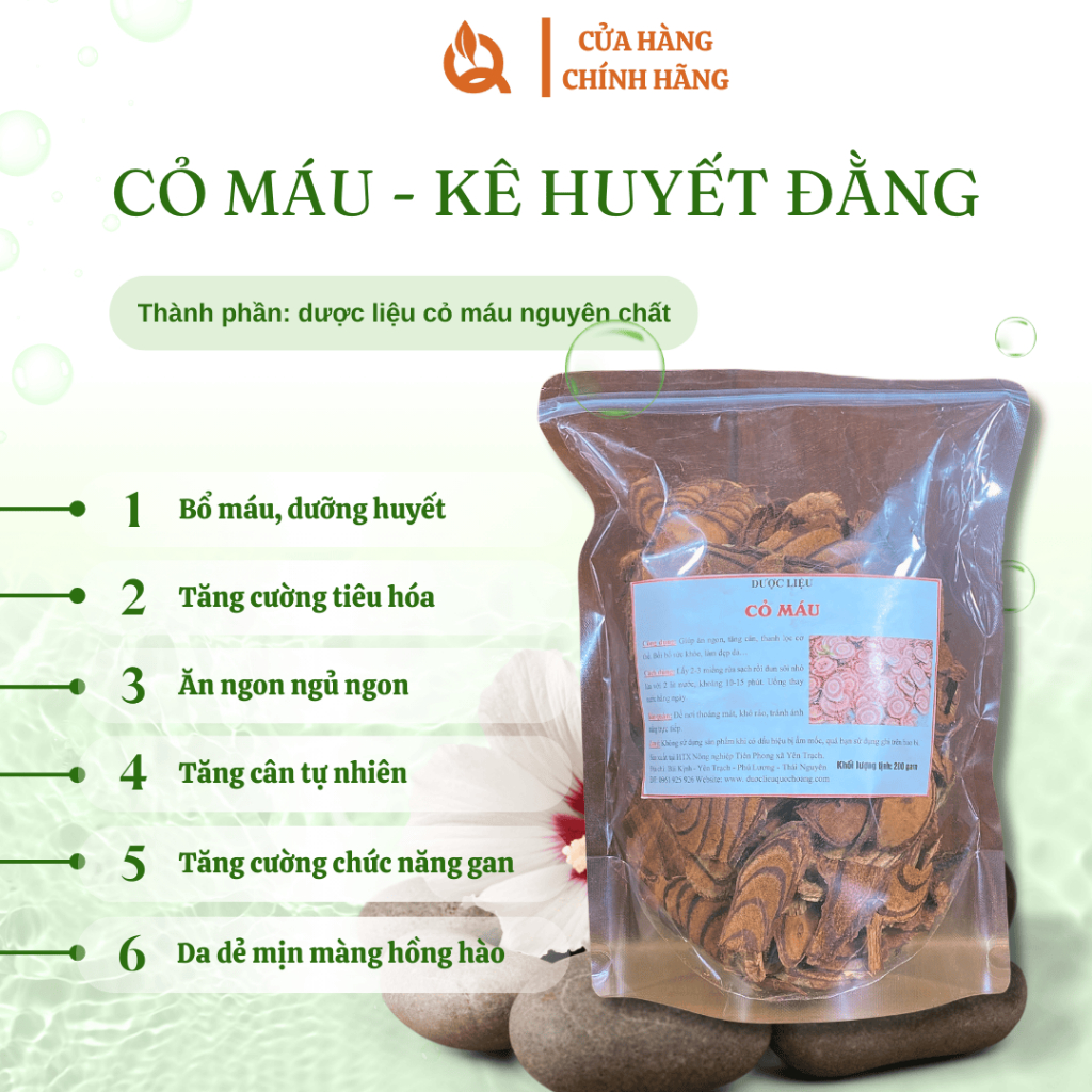 Dược liệu Cỏ máu ( Kê huyết đằng) Loại 1 không vụn - Trà cỏ máu bồi bổ cơ thể, ăn ngon ngủ ngon, điều hòa khí huyết