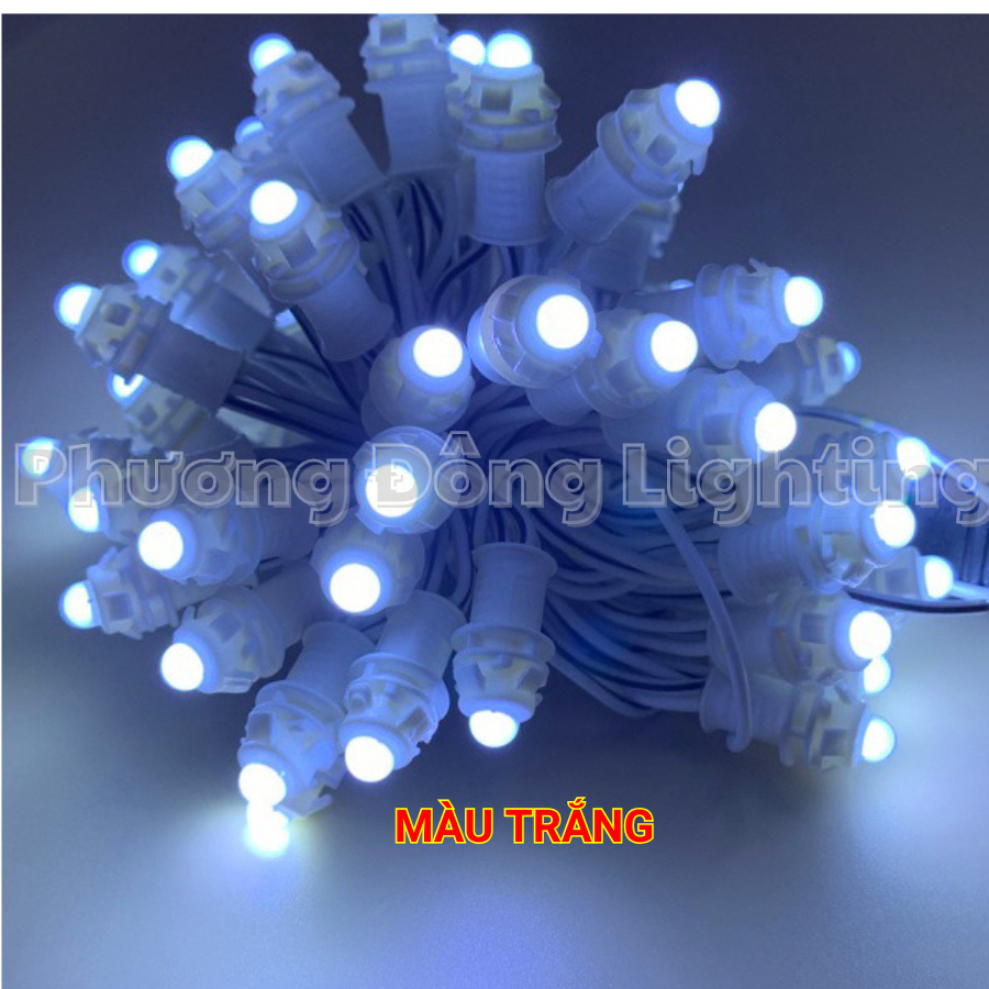 LED Đúc quấn cây F5 12V một bó 50 bóng Dài 3m