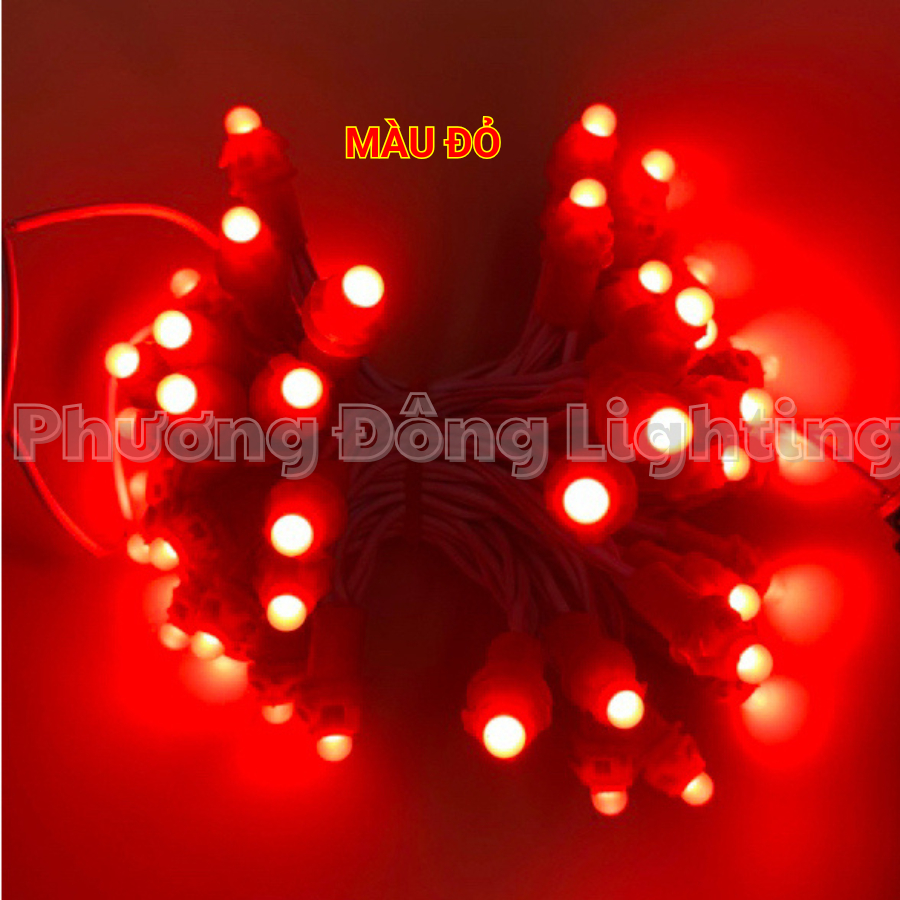 LED Đúc quấn cây F5 12V một bó 50 bóng Dài 3m