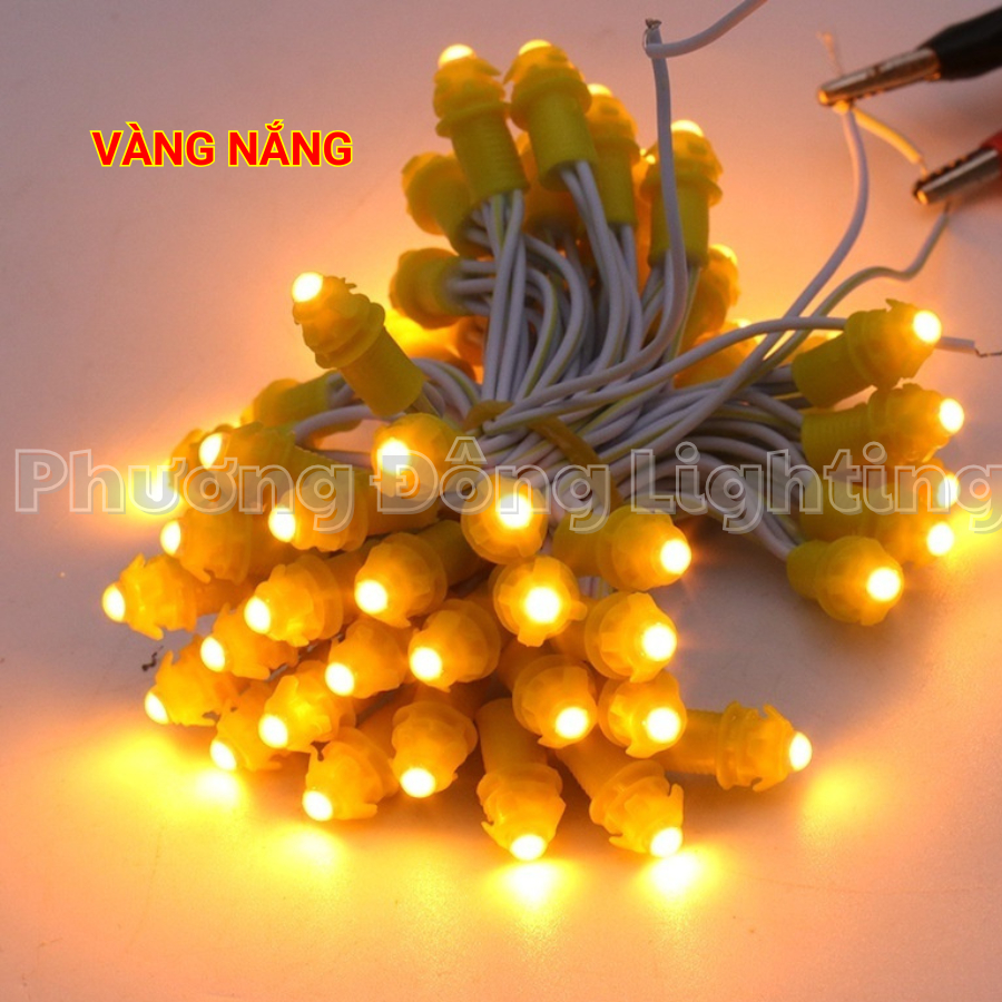 LED Đúc quấn cây F5 12V một bó 50 bóng Dài 3m