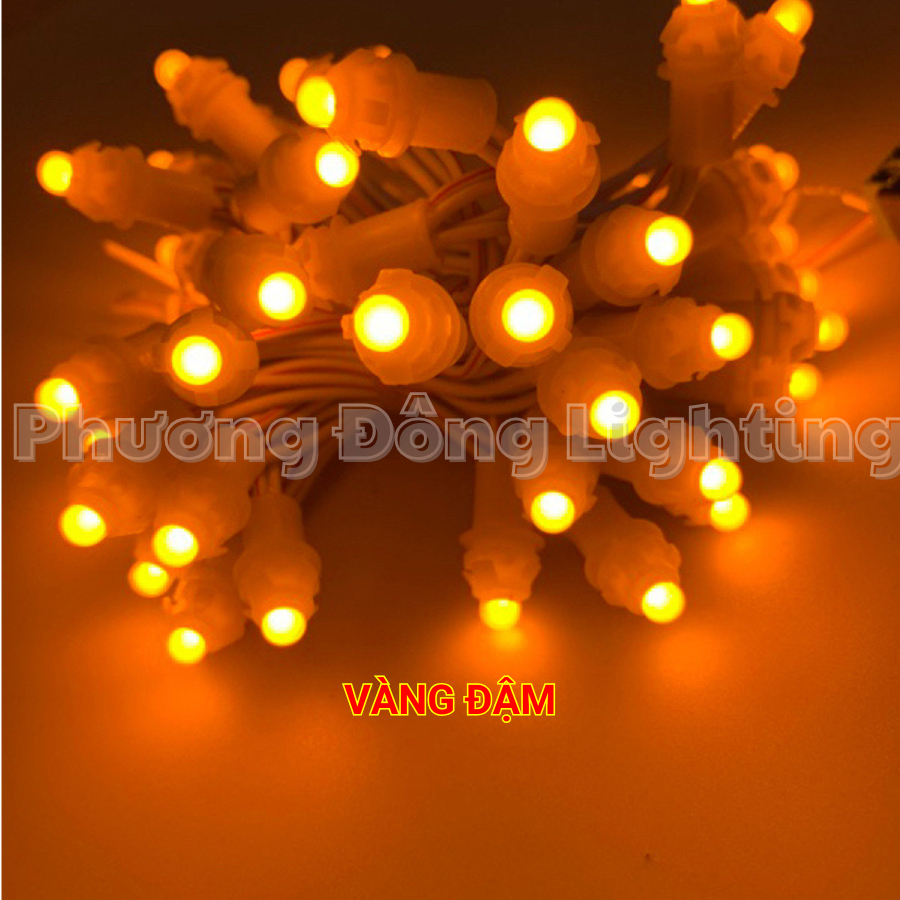 LED Đúc quấn cây F5 12V một bó 50 bóng Dài 3m
